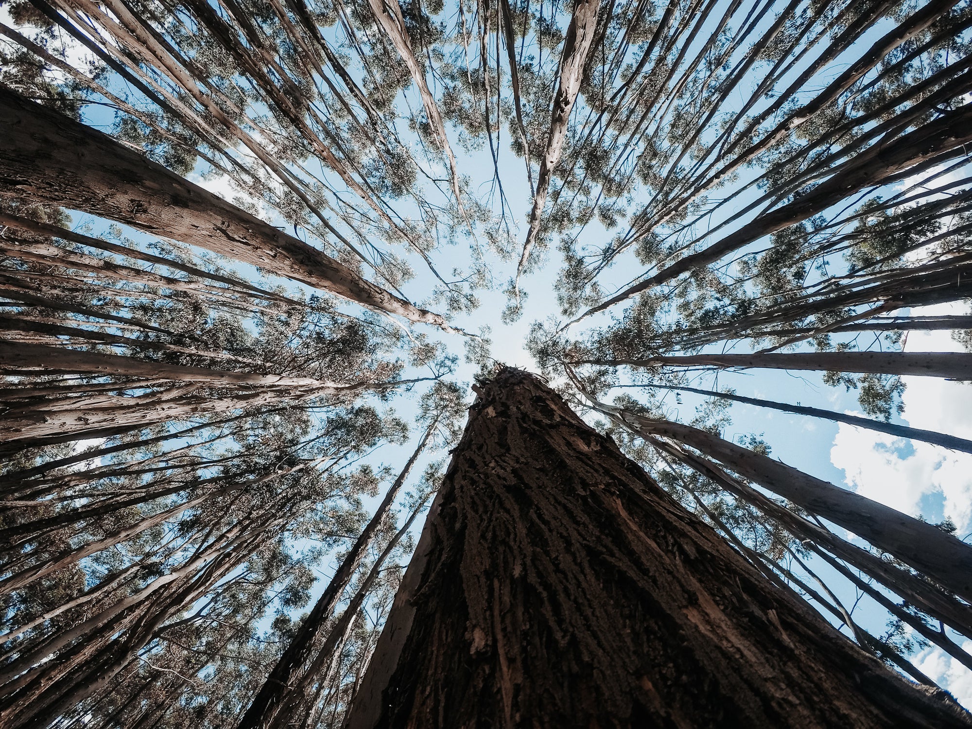 VLOG: Sourcing Coffee