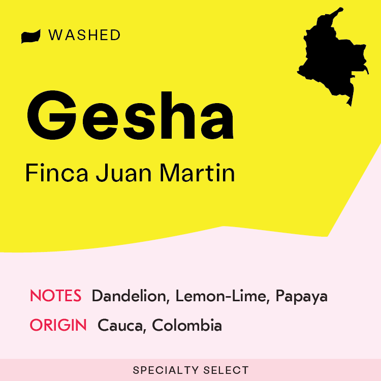 Colombia, Finca Juan Martin, Gesha