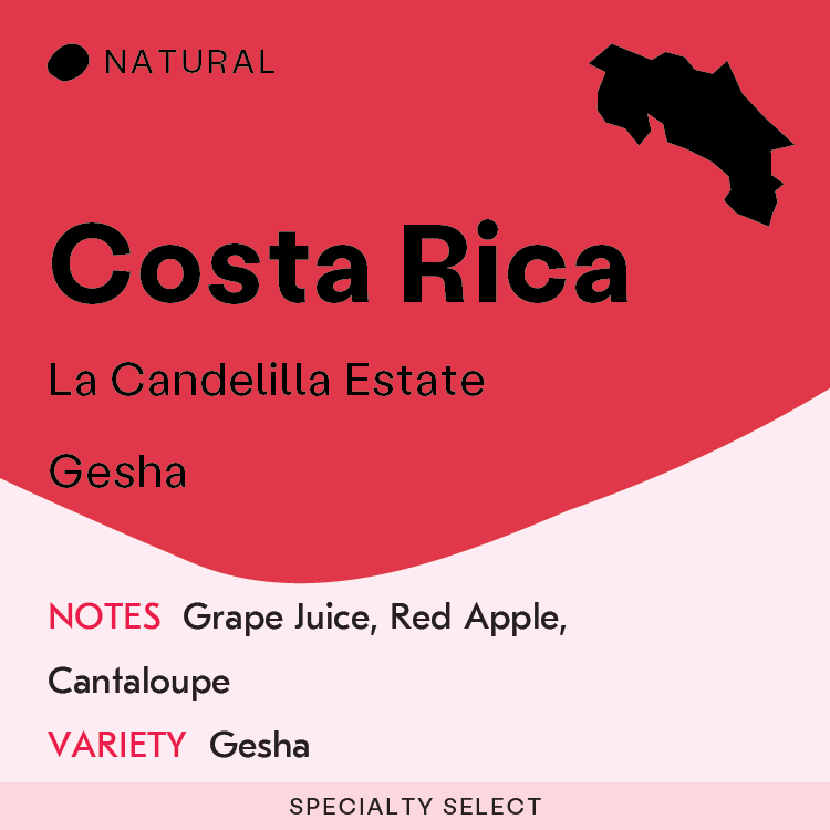 La Candelilla Estate, Gesha