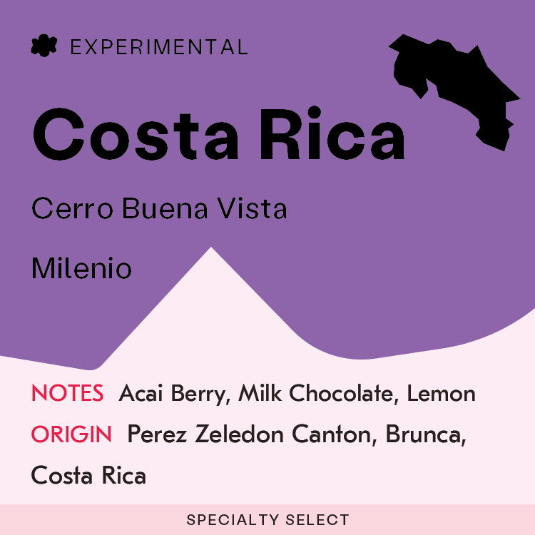 Costa Rica, Cerro Buena Vista, Milenio