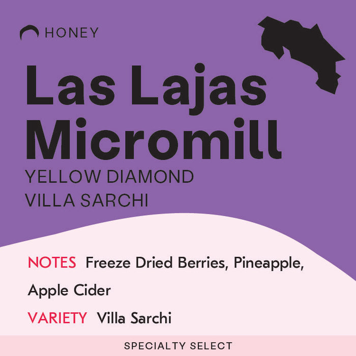 Costa Rica, Las Lajas Micromill, Yellow Diamond Villa Sarchi