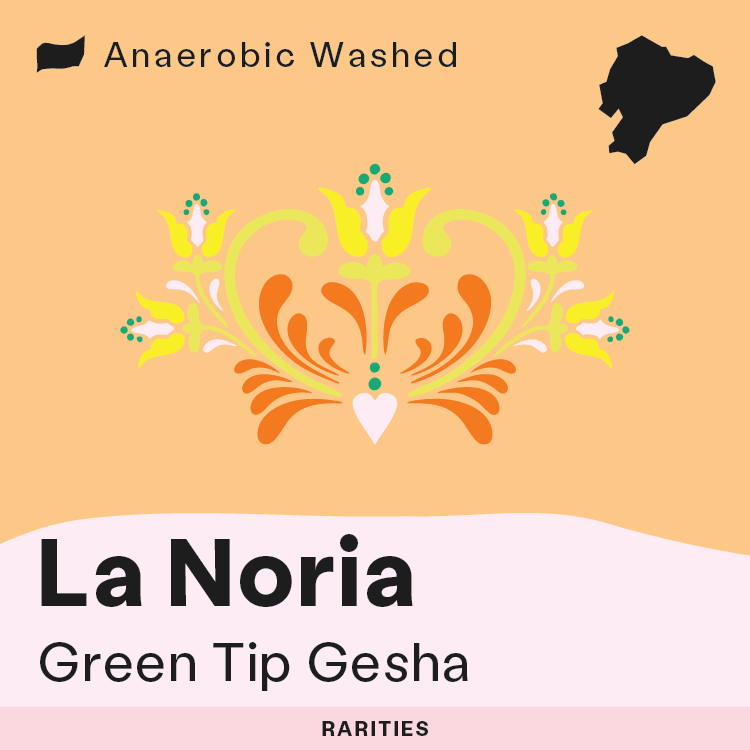 RARITIES: La Noria - Green Tip Gesha