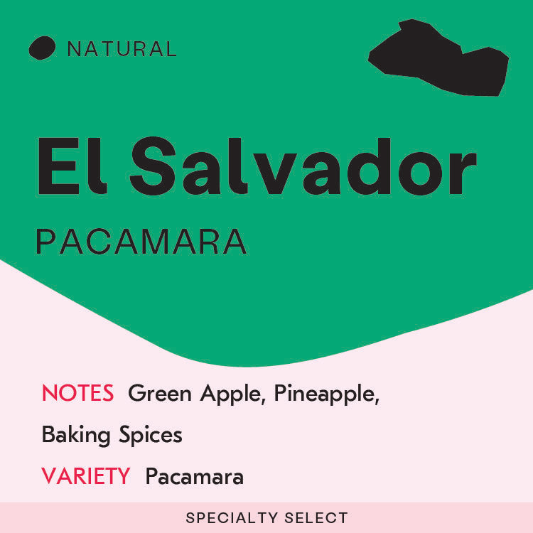 El Salvador, Natural Pacamara
