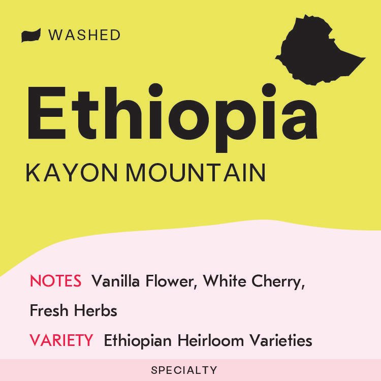 Ethiopia, Kayon Mountain, Washed