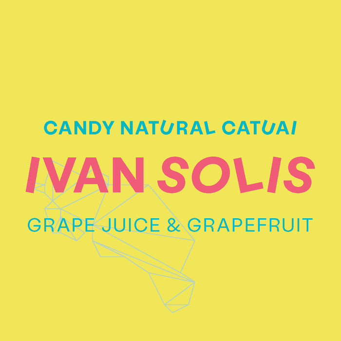 Costa Rica, Ivan Solis Candy Natural (Catuai)