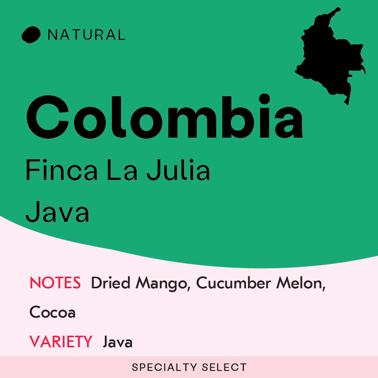 Finca La Julia, Java Natural