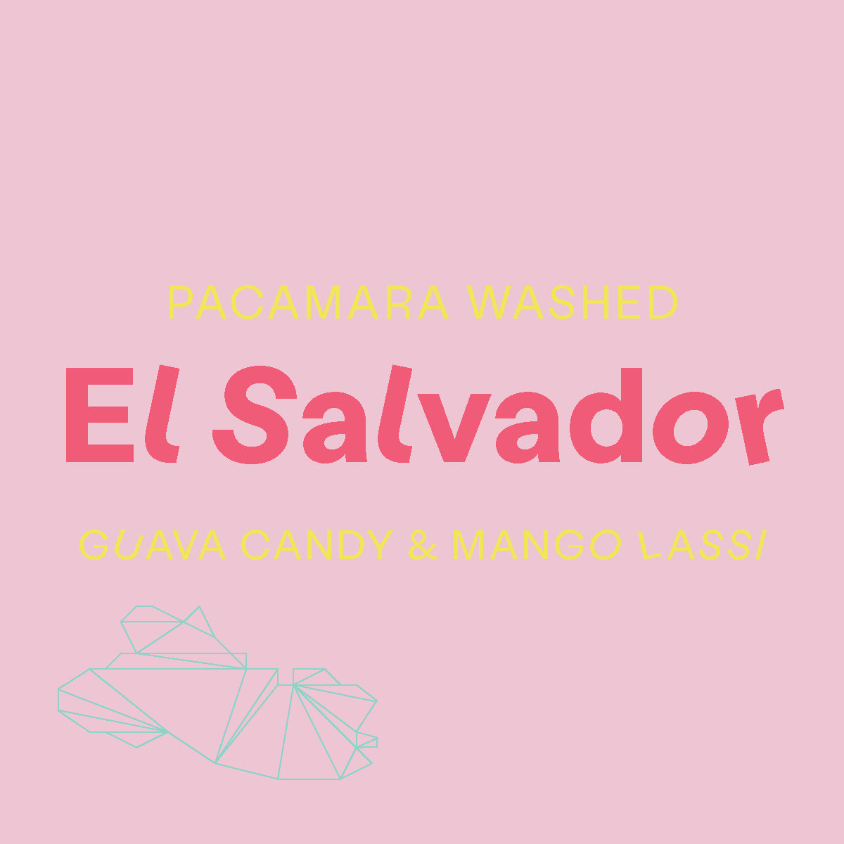 El Salvador, Pacamara