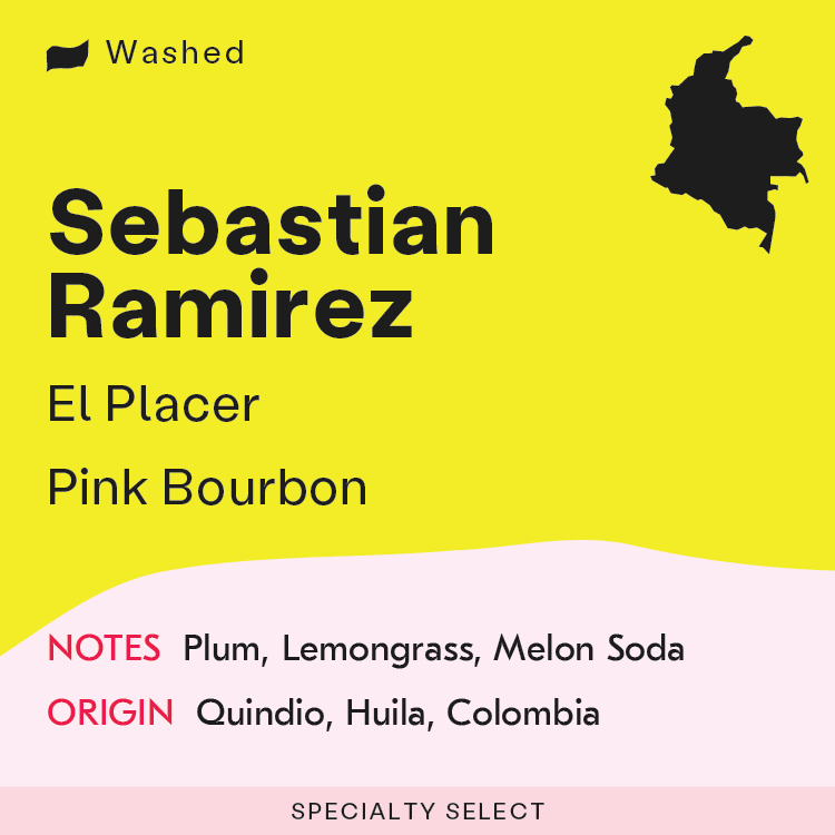 Colombia, Sebastian Ramirez - Pink Bourbon