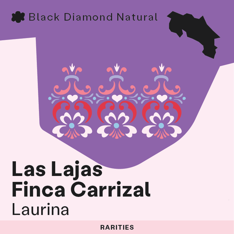 RARITIES: Las Lajas, Finca Carrizal - Laurina