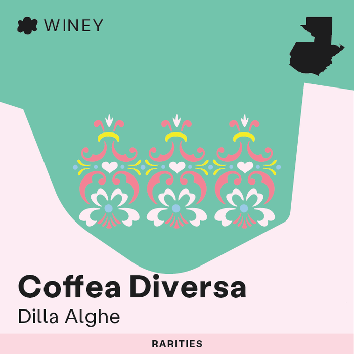 RARITIES: Coffea Diversa - Dilla Alghe