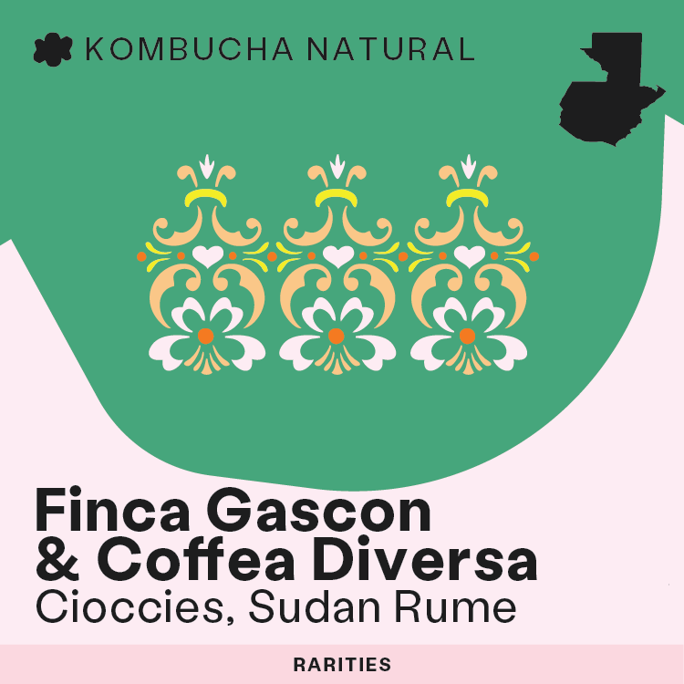 RARITIES: Finca Gascon & Coffea Diversa - Cioccies, Sudan Rume