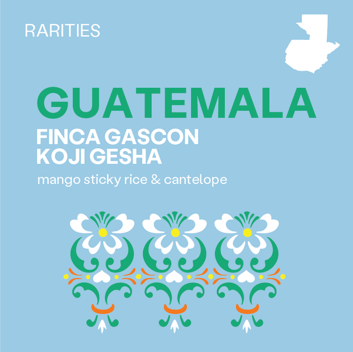 RARITIES - Guatemala, Finca Gascon, Koji Gesha