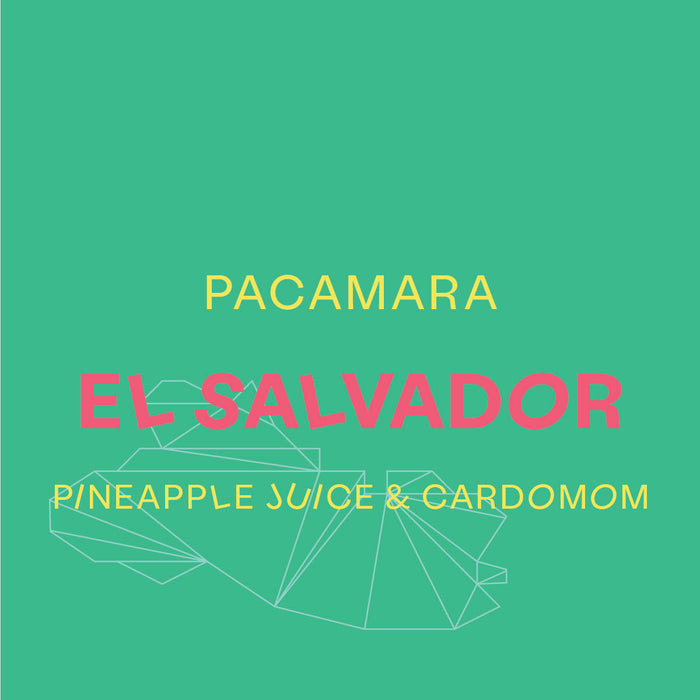 El Salvador, Natural Pacamara